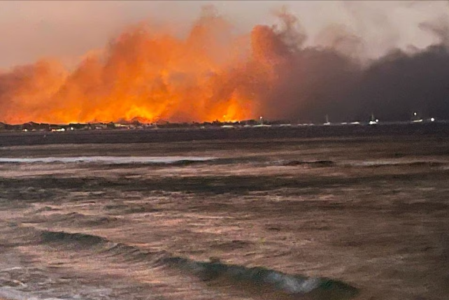 Số NgườI ThiệT MạNg Do CháY RừNg ở Hawaii TăNg LêN 55 Và Dự KiếN Sẽ Cao HơN - ẢNh 2.