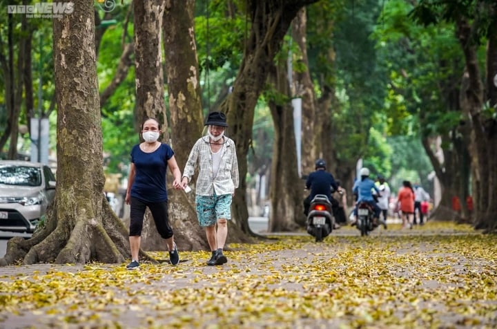 Dự BáO ThờI TiếT NgàY 19/9: Cả NướC đóN NắNg, MiềN BắC SáNg SớM MưA DôNg - ẢNh 1.