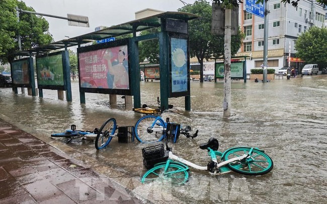 Trung QuốC: HàNg ChụC NghìN NgườI Sơ TáN Do BãO Haikui - ẢNh 1.