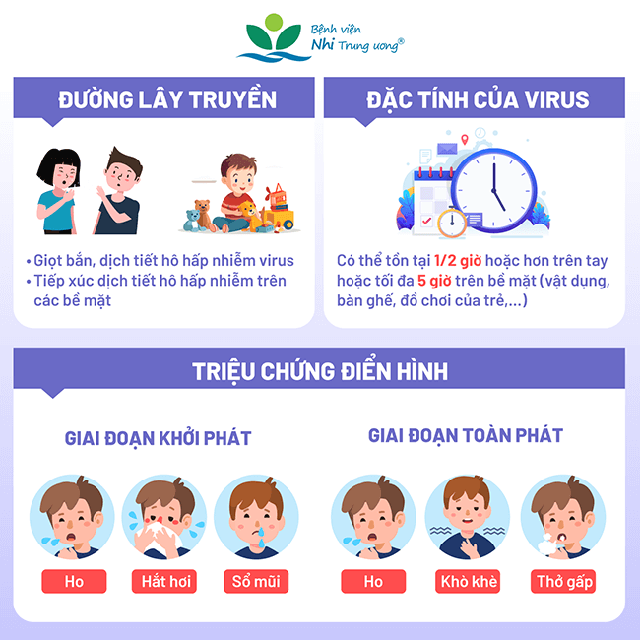 NhiễM Virus Rsv ở Trẻ: LưU ý NhóM đốI TượNg Dễ TiếN TriểN NặNg - ẢNh 2.