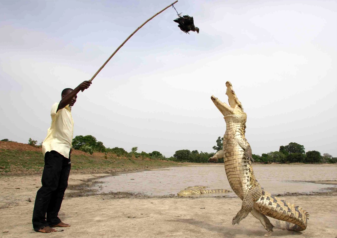 Con NgườI Và Cá SấU đã Chung SốNg HòA ThuậN SuốT HơN 500 NăM Qua TạI Burkina Faso - ẢNh 2.