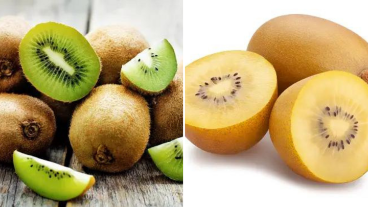 Kiwi VàNg Hay Kiwi Xanh LoạI NàO TốT HơN - ẢNh 1.