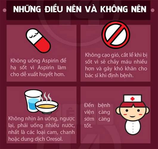 Sốt Xuất Huyết: Nguyên Nhân, Triệu Chứng Và Cách Phòng Bệnh 4