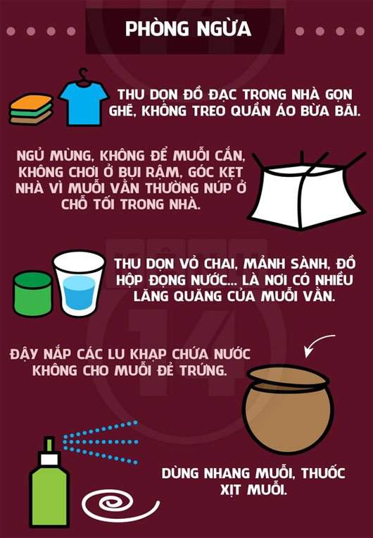 Sốt Xuất Huyết: Nguyên Nhân, Triệu Chứng Và Cách Phòng Bệnh 5