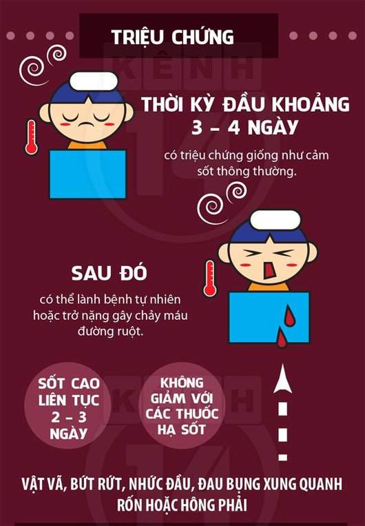 Sốt Xuất Huyết: Nguyên Nhân, Triệu Chứng Và Cách Phòng Bệnh 2