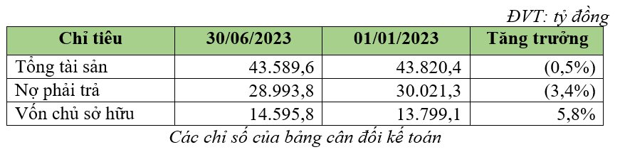 Bamboo Capital (Bcg) BáO LãI 161 Tỷ Trong Quý 2/2023, Nợ PhảI Trả GiảM HơN 1.027 Tỷ đồNg - ẢNh 2.