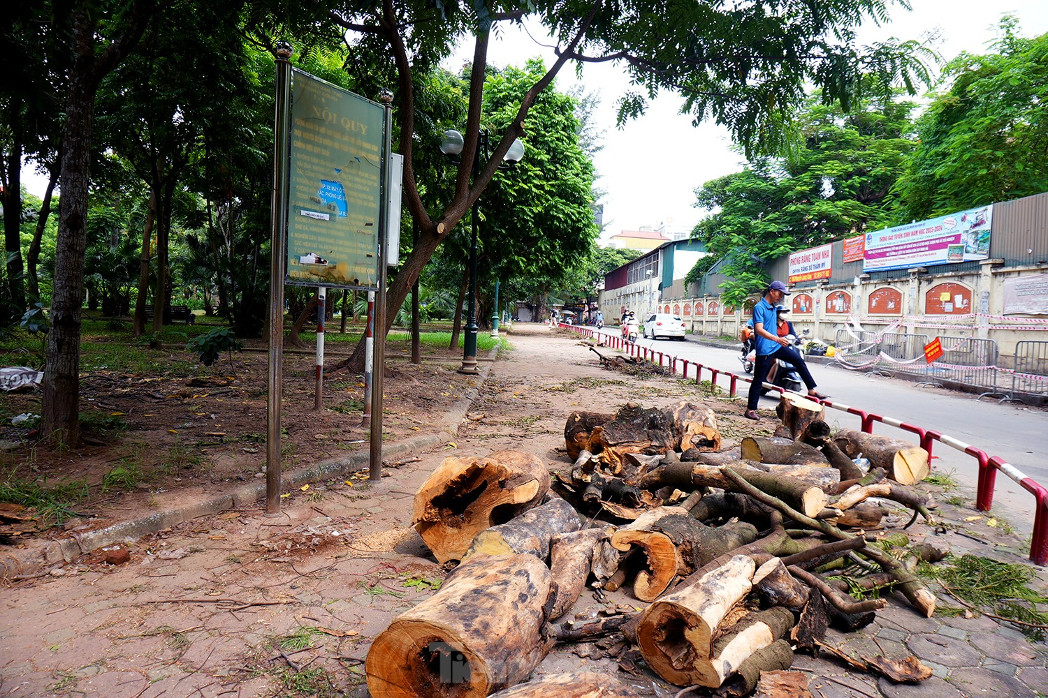 CảNh NhếCh NháC XuốNg CấP, Phế ThảI BủA VâY ở VườN Hoa GiữA Thủ đô - ẢNh 4.