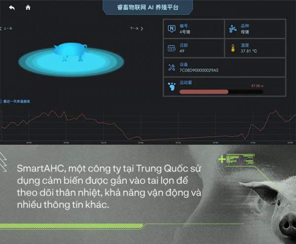 Trung Quốc Chống Lại Dịch Tả Lợn Châu Phi Bằng Công Nghệ Nhận Diện Mặt Lợn Như Thế Nào? 3