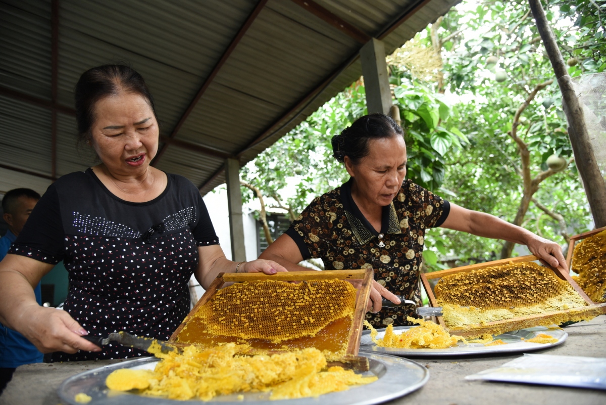 Già Hoá DâN Số, ViệT Nam đã SẵN SàNg ThíCh ứNg? - ẢNh 5.