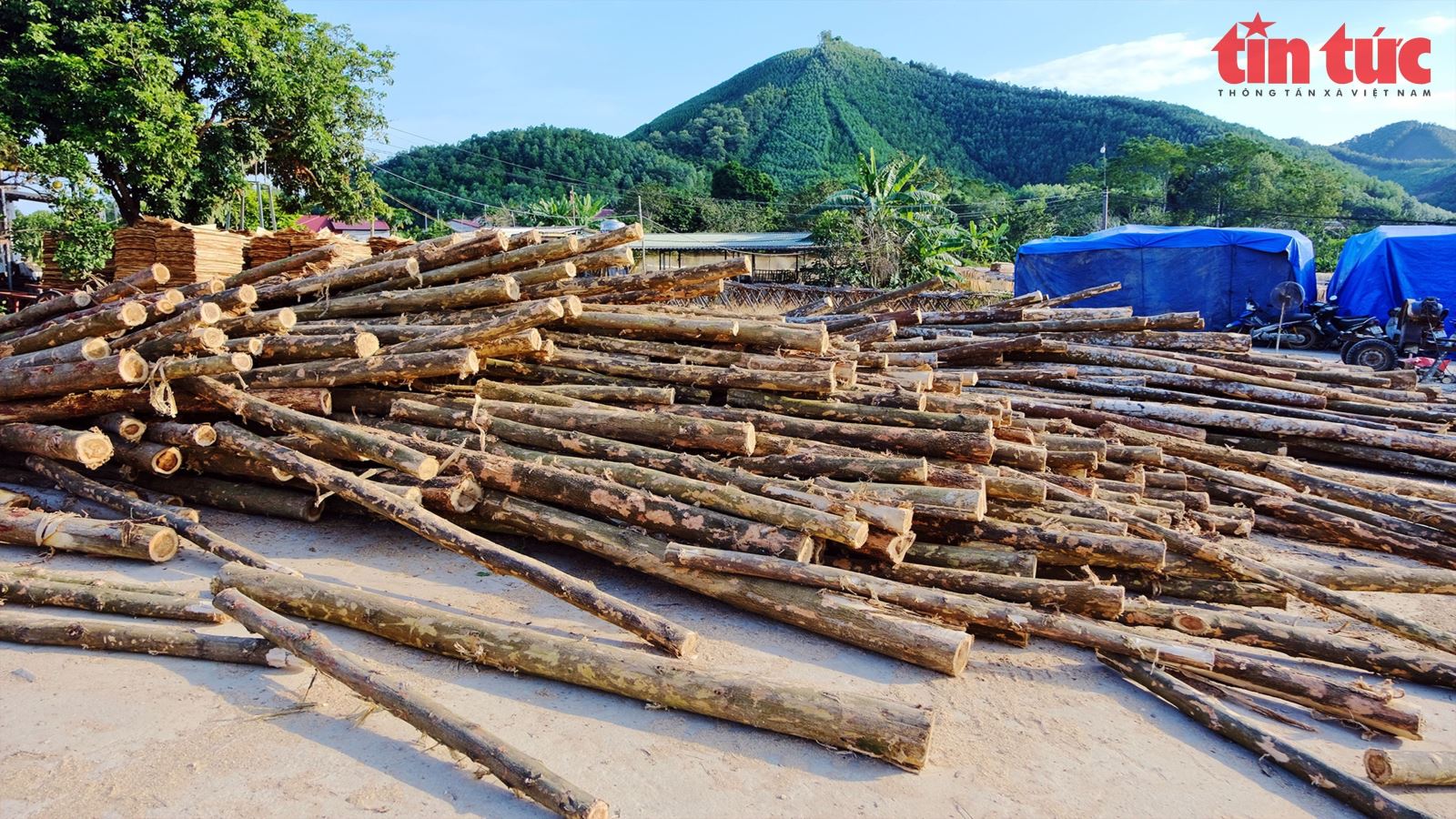 NgàNh Thuế PhảN HồI Lý Do ChậM HoàN Thuế đốI VớI NhữNg Hồ Sơ ‘KiểM Tra TrướC HoàN’ - ẢNh 8.