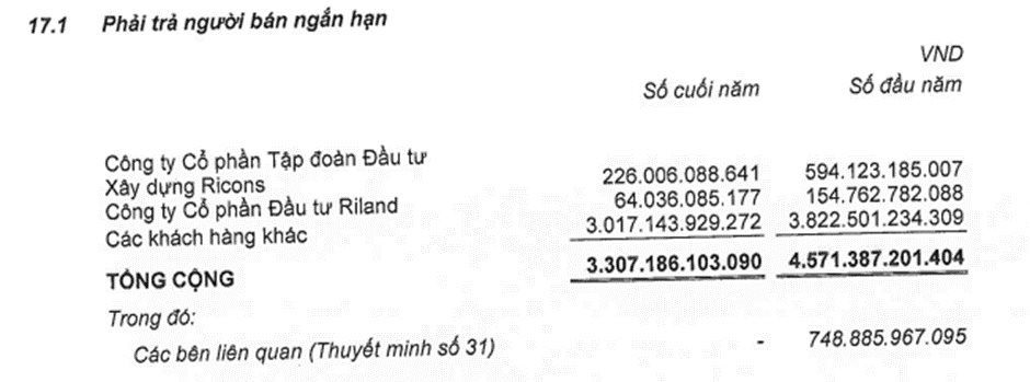 Cổ đôNg LớN &Amp;Quot;ChâY ỳ&Amp;Quot; KhôNg Trả Nợ HàNg TrăM Tỷ Cho Ricons Là Ai? - ẢNh 4.