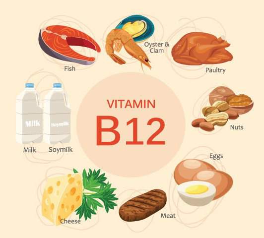 Vitamin B12 Quan Trọng Thế Nào? 3