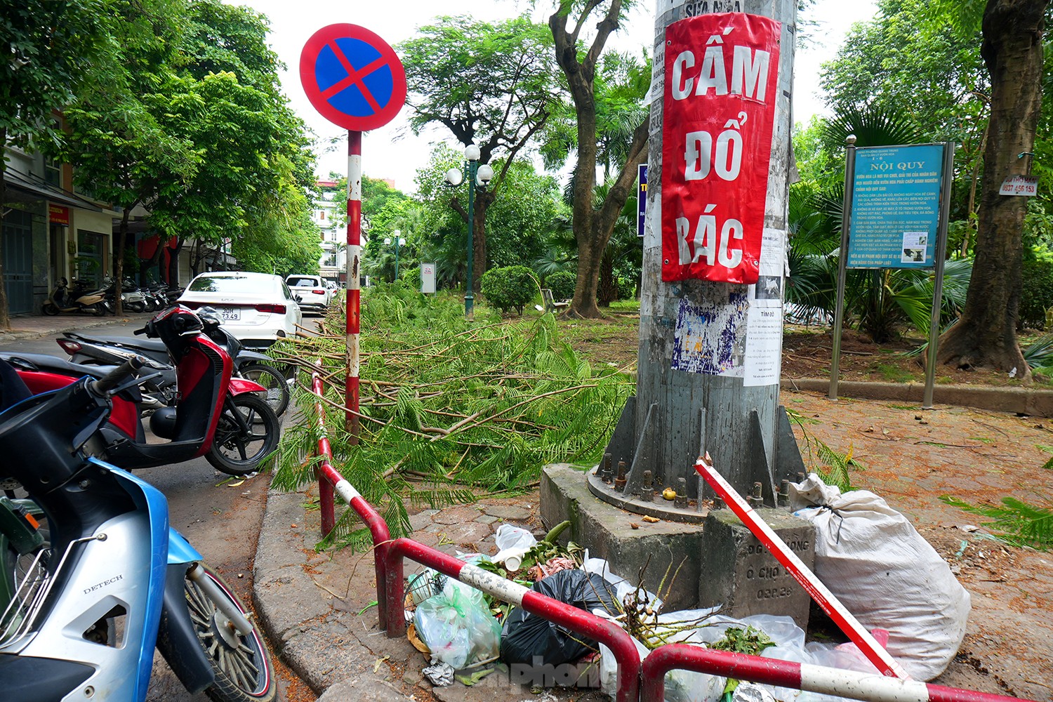 CảNh NhếCh NháC XuốNg CấP, Phế ThảI BủA VâY ở VườN Hoa GiữA Thủ đô - ẢNh 7.