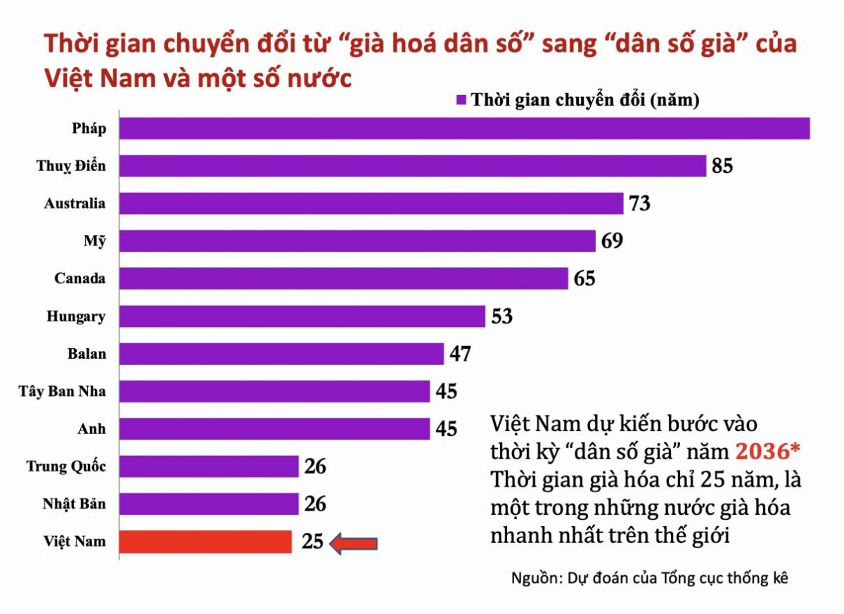 Già Hoá DâN Số, ViệT Nam đã SẵN SàNg ThíCh ứNg? - ẢNh 3.