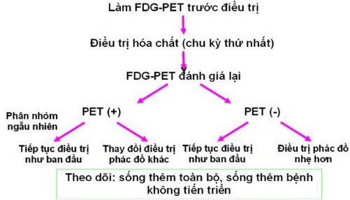 Ứng Dụng Kỹ Thuật Pet Và Pet/Ct Trong Lâm Sàng 7