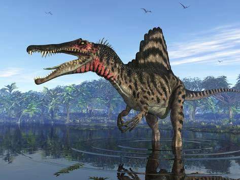 Spinosaurus - Loài Khủng Long Săn Mồi Cực Lớn Trên Trái Đất 5