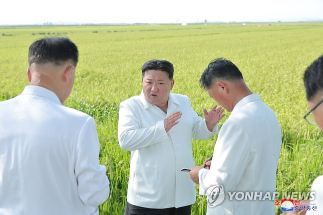 ÔNg Kim Jong-Un LệNh Cho MáY Bay QuâN Sự Phun ThuốC BảO Vệ MùA MàNg - ẢNh 2.