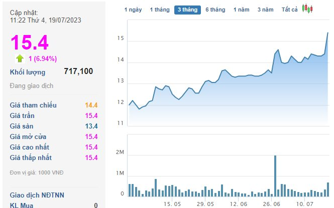 BáO LãI Quý 2 TăNg GấP 3,3 LầN, Cổ PhiếU CủA CôNg Ty VậN TảI DầU Thô Duy NhấT TạI ViệT Nam Dư Mua TrầN HơN 1 TriệU đơN Vị - ẢNh 2.