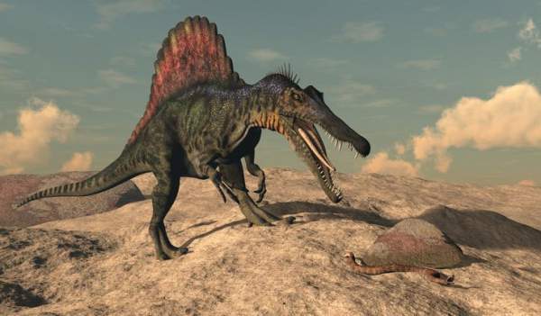 Spinosaurus - Loài Khủng Long Săn Mồi Cực Lớn Trên Trái Đất 3