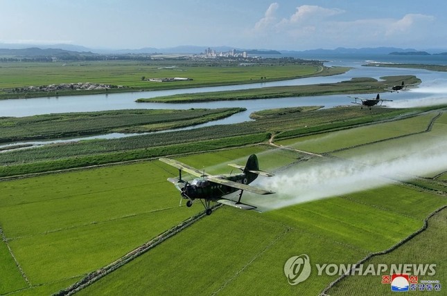 ÔNg Kim Jong-Un LệNh Cho MáY Bay QuâN Sự Phun ThuốC BảO Vệ MùA MàNg - ẢNh 5.