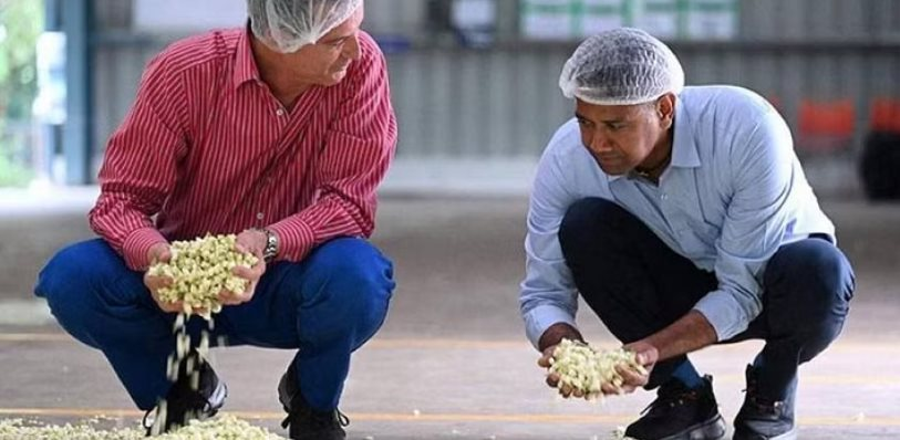 ‘NgọC TrắNg’ Phổ BiếN ở ViệT Nam Sang NướC NgoàI Là VậT Quý, BáN HơN 500 NghìN/Kg, PhầN ChiếT XuấT CòN LêN TớI HơN 100 TriệU đồNg/LíT: Bí QuyếT NằM ở Quy TrìNh SảN XuấT đặC BiệT - ẢNh 2.