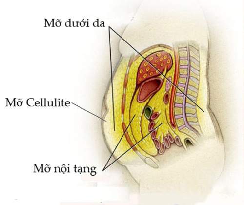 Có Quá Khó Để Giảm Mỡ Bụng Và Vết Rạn Sau Khi Sinh?. 3