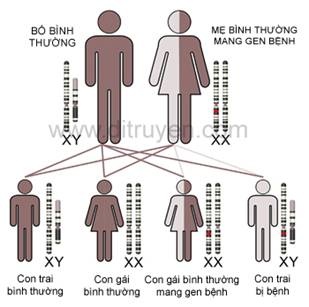 Các Dạng Teo Cơ Và Những Bài Thuốc Chữa Teo Cơ 2