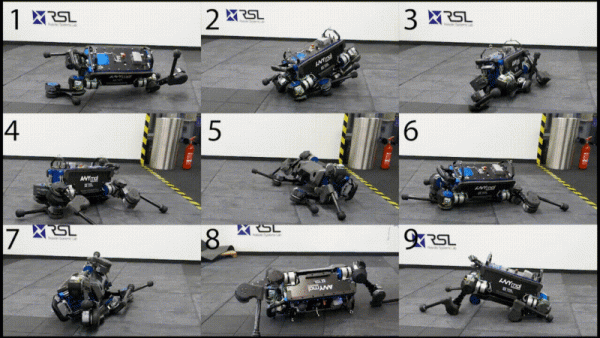 Chó Robot Của Thụy Sỹ Không Ngã Khi Bị Người Đạp, Nếu Ngã Biết Tự Lật Đứng Dậy 3