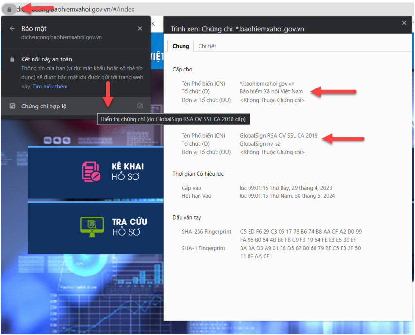 CảNh BáO Trang Web Giả MạO CổNg ThôNg Tin đIệN Tử BảO HiểM Xã HộI ViệT Nam - ẢNh 2.