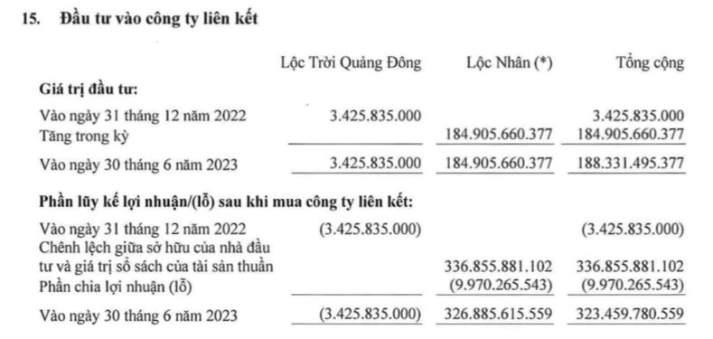 ĐáNh Giá LạI TàI SảN, LộC TrờI (Ltg) BáO LãI Kỷ LụC 426 Tỷ đồNg Trong Quý 2 - ẢNh 1.