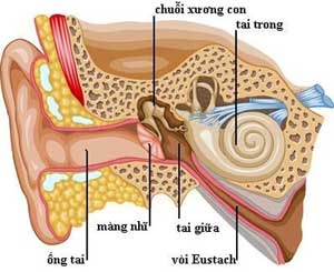 Hội Chứng Tiền Đình Ở Người Cao Tuổi 3