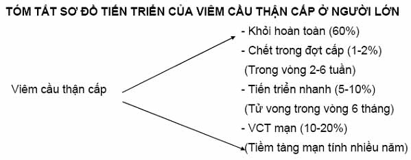 Triệu Chứng Lâm Sàng Và Xét Nghiệm Bệnh Viêm Cầu Thận Cấp 1