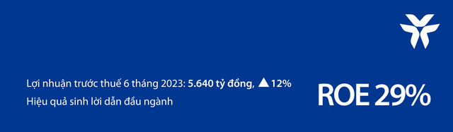 Vib: LợI NhuậN 6 TháNg đầU NăM 2023 TăNg 12%, Roe đạT 29% - ẢNh 1.