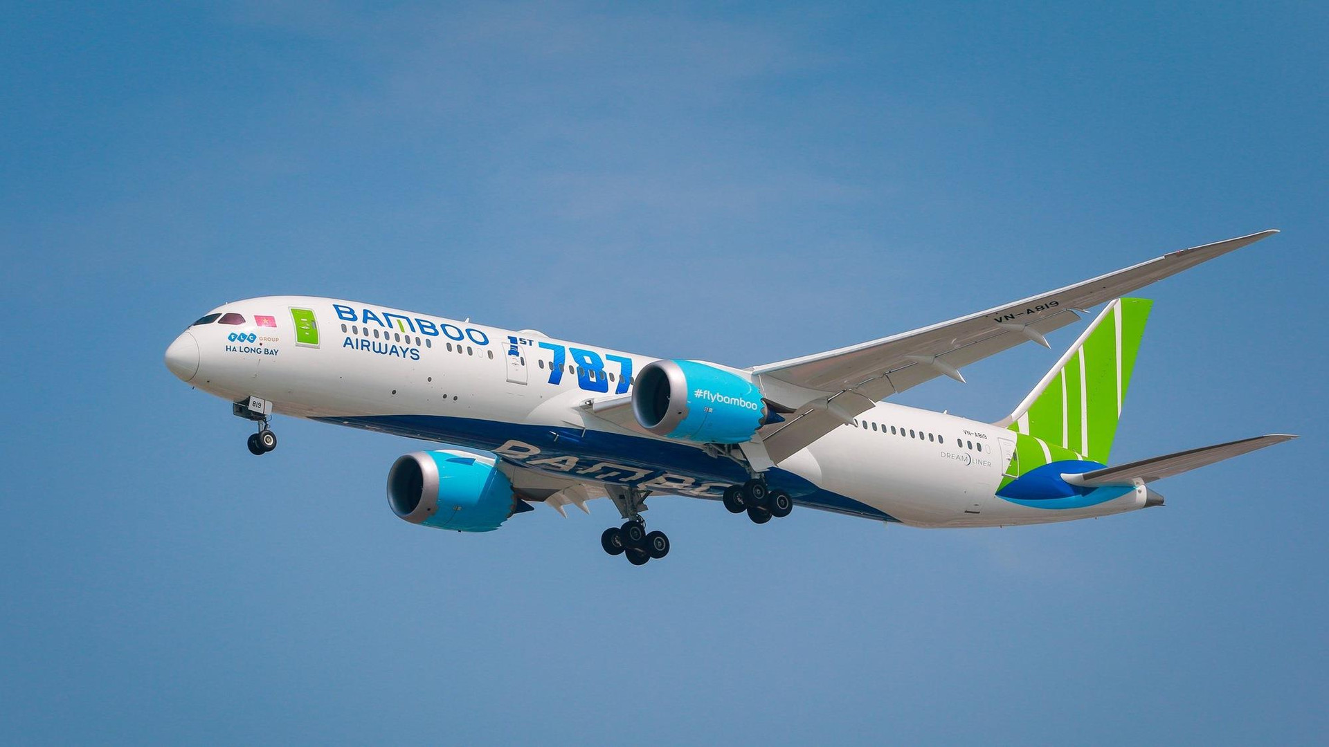 Thủ TướNg Chỉ đạO Bộ, NgàNh TháO Gỡ Khó KhăN Cho Bamboo Airways - ẢNh 1.