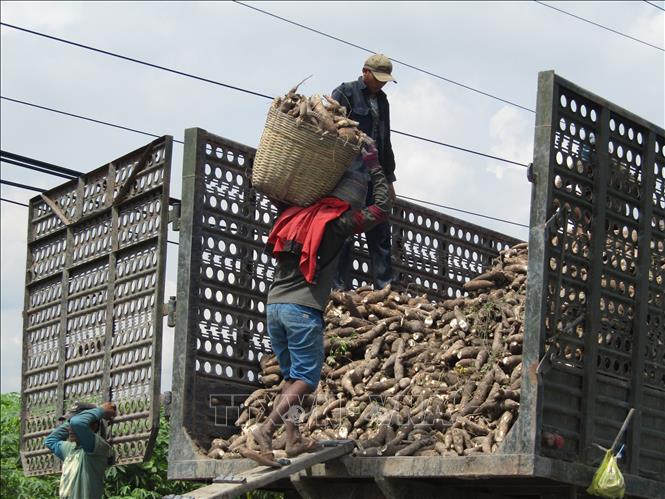 NgàNh Thuế PhảN HồI Lý Do ChậM HoàN Thuế đốI VớI NhữNg Hồ Sơ ‘KiểM Tra TrướC HoàN’ - ẢNh 2.