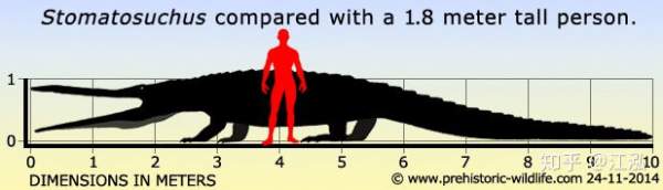 Stomatosuchus Inermis: Loài Cá Sấu Cổ Đại Có Thể &Quot;Nuốt Chửng Cả Thế Giới&Quot; 8