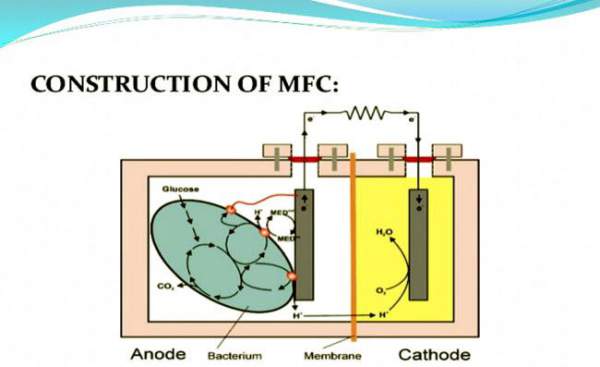 Thiết Bị Lặn Tự Sạc Pin Nhờ... Phân Cá 2