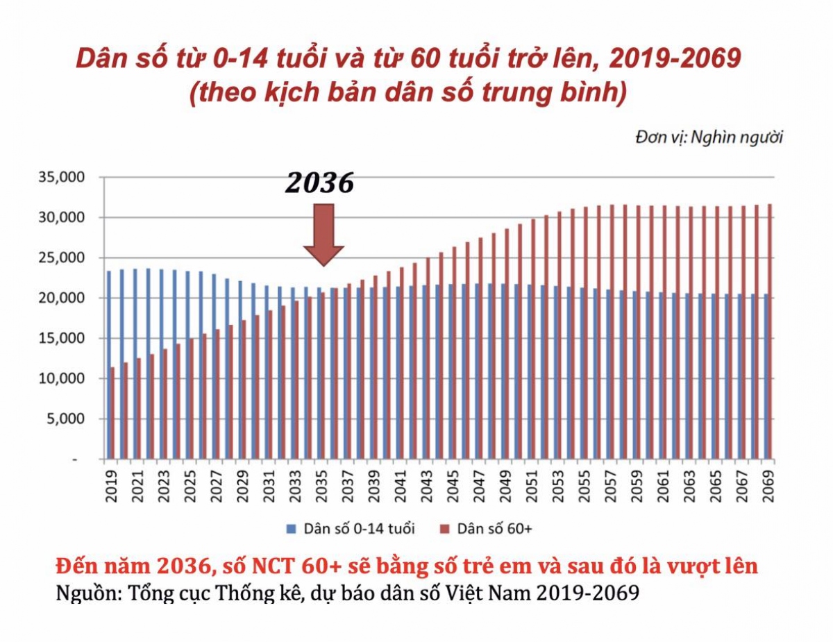 Già Hoá DâN Số, ViệT Nam đã SẵN SàNg ThíCh ứNg? - ẢNh 2.