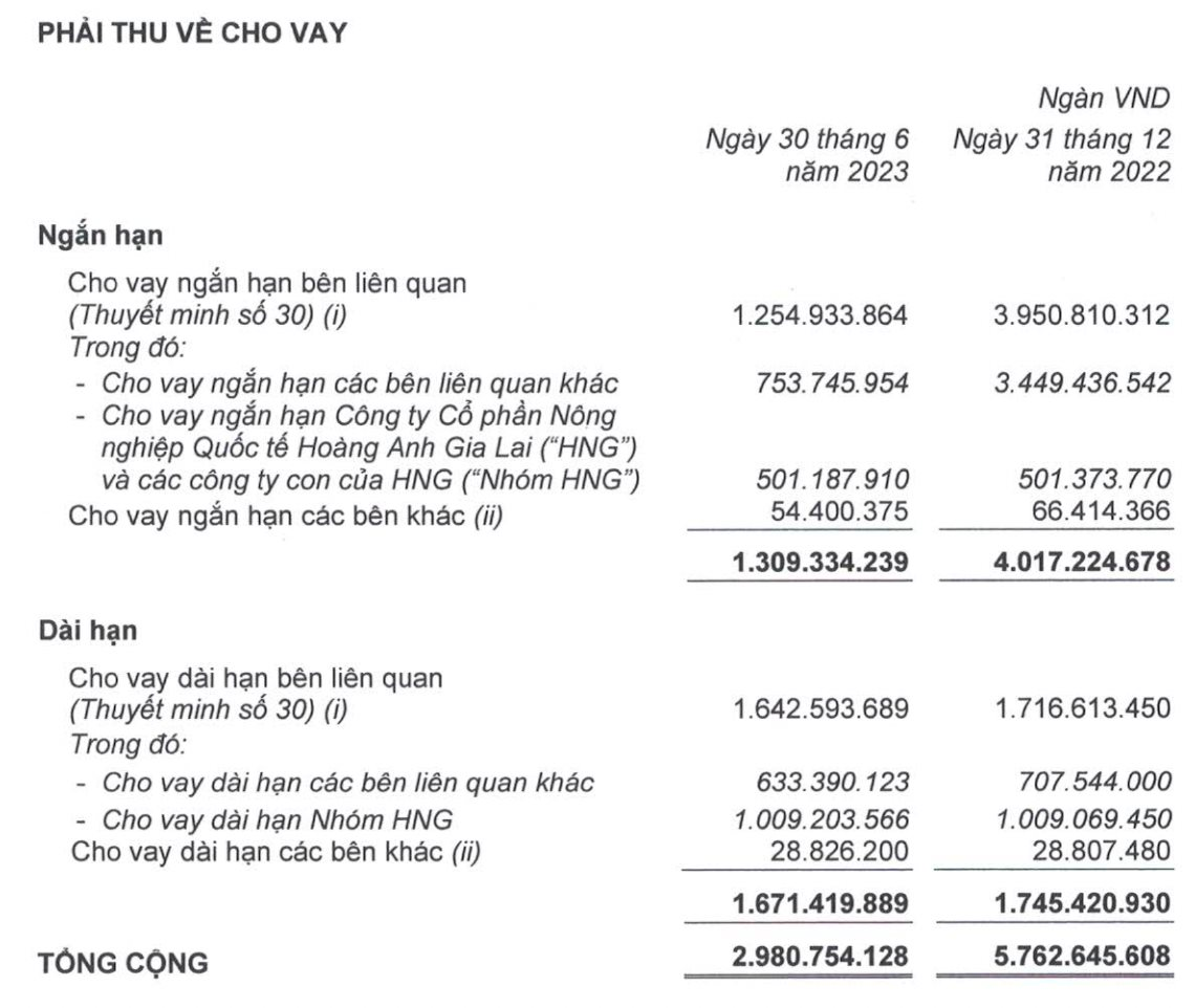 Dù MảNg Heo HồI PhụC Trong Quý 2/2023, HoàNg Anh Gia Lai ThoáT Lỗ Nhờ Giao DịCh Mua Rẻ MộT CôNg Ty TạI LàO - ẢNh 3.