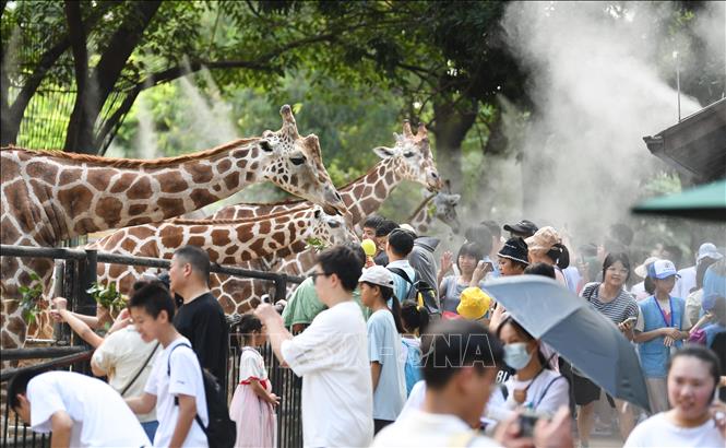 NóNg ThiêU đốT Và MưA Kỷ LụC, ChâU Á 