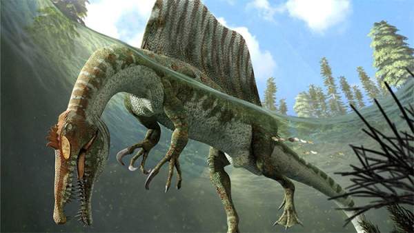 Spinosaurus - Loài Khủng Long Săn Mồi Cực Lớn Trên Trái Đất 4