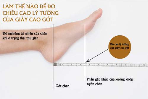 Đừng Tưởng Giày Càng Cao Càng Đẹp, Đây Là Nguyên Tắc Chọn Độ Cao Giày Chuẩn Nhất 6