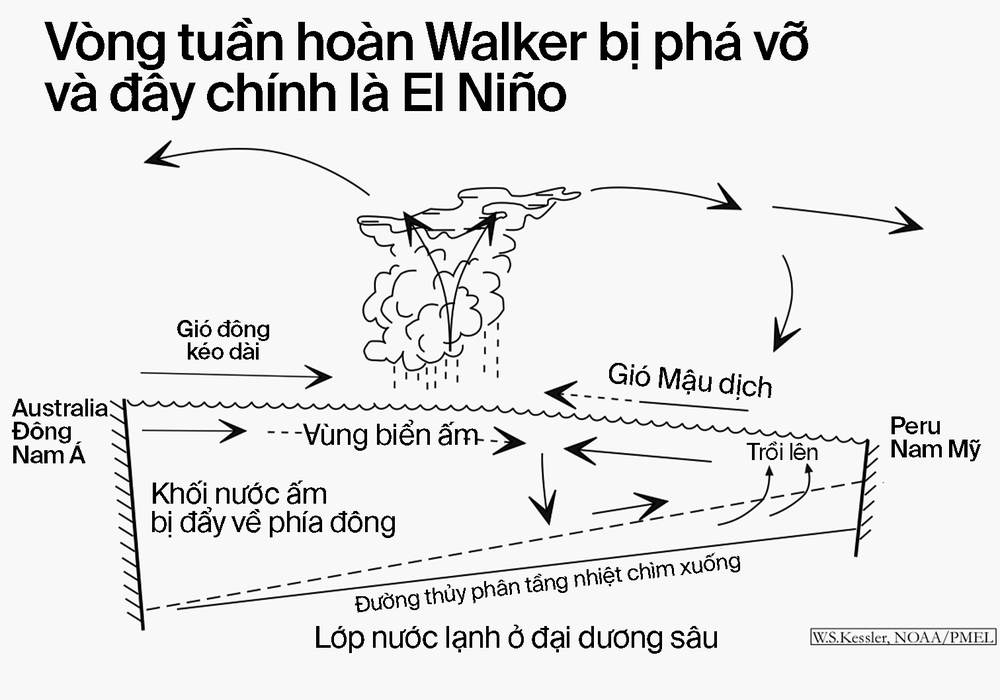 NhữNg Bí ẩN CủA El NiñO: NguồN GốC, LịCh Sử Và HiệU ứNg CáNh BướM Hai BêN Bờ TháI BìNh DươNg (Kỳ 2) - ẢNh 18.