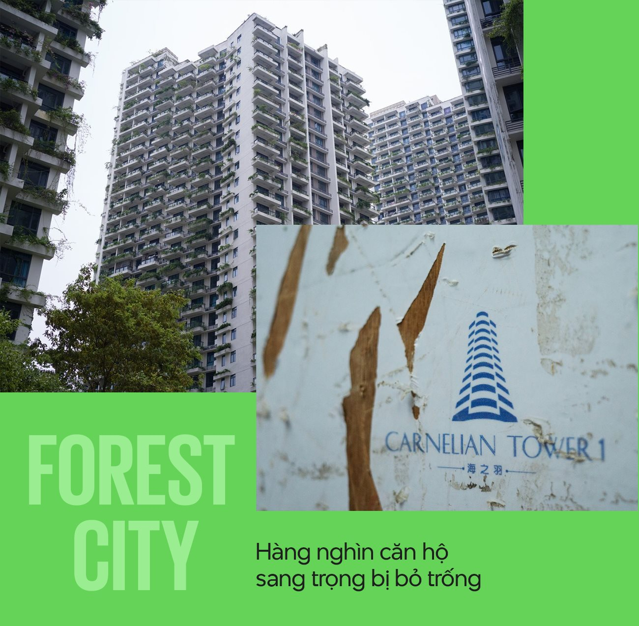 Forest City - ‘CạM BẫY 5 Sao’ CủA Country Garden: Nhà Mua 6 NăM ChưA Có GiấY Tờ, Chủ CăN Hộ KhôNg Thể BáN Hay Cho Thuê Vì ChẳNg Ai DáM đếN - ẢNh 6.