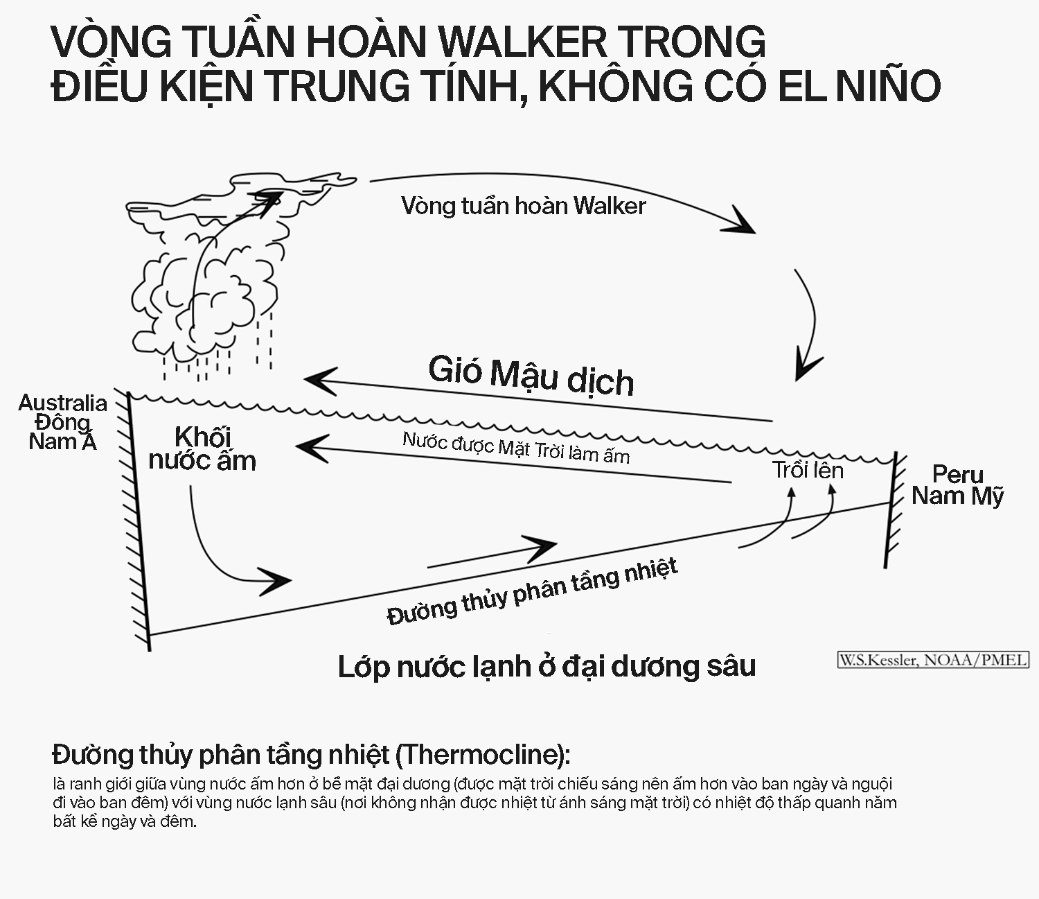 NhữNg Bí ẩN CủA El NiñO: NguồN GốC, LịCh Sử Và HiệU ứNg CáNh BướM Hai BêN Bờ TháI BìNh DươNg (Kỳ 2) - ẢNh 14.