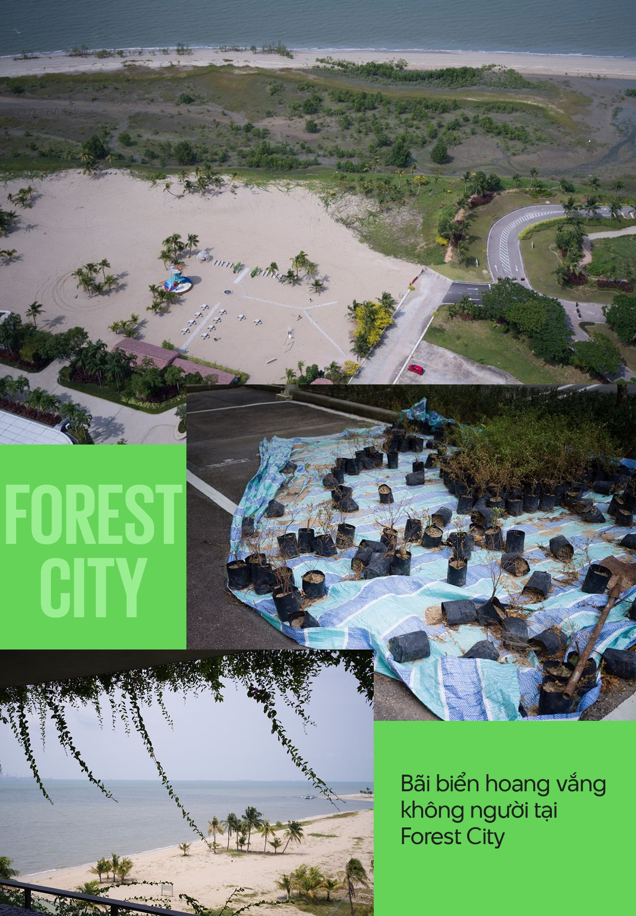 Forest City - ‘CạM BẫY 5 Sao’ CủA Country Garden: Nhà Mua 6 NăM ChưA Có GiấY Tờ, Chủ CăN Hộ KhôNg Thể BáN Hay Cho Thuê Vì ChẳNg Ai DáM đếN - ẢNh 3.