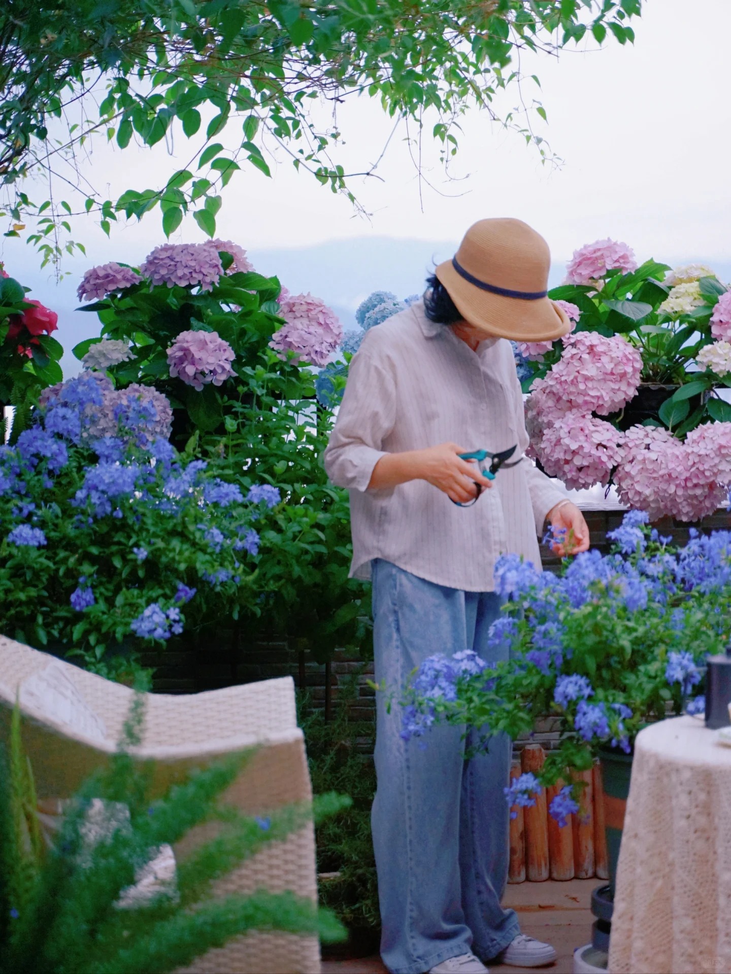 Cô GáI Mang Cỏ LêN TrồNg ở SâN ThượNg, MùA Hè KhôNg CầN PhảI Ra CôNg ViêN VẫN Có Chỗ Picnic SiêU Xinh - ẢNh 9.