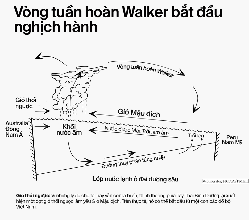 NhữNg Bí ẩN CủA El NiñO: NguồN GốC, LịCh Sử Và HiệU ứNg CáNh BướM Hai BêN Bờ TháI BìNh DươNg (Kỳ 2) - ẢNh 17.