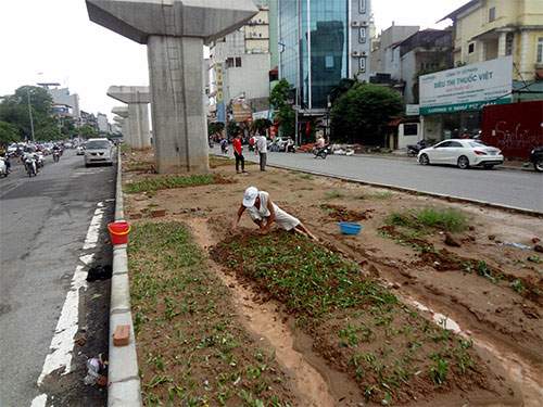 Trong Tương Lai, Người Ta Có Thể Sẽ Về Quê Làm Nông Dân Hết 3