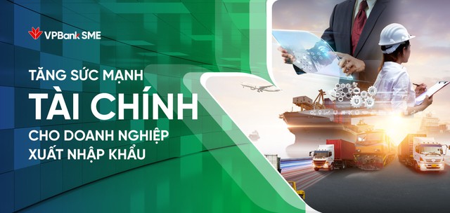 ThêM đIểM TựA để Doanh NghiệP XuấT NhậP KhẩU LấY LạI đà TăNg TrưởNg - ẢNh 1.